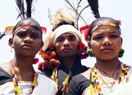 सेमारगावच्या पूर्वज देवतांचं ठाणं