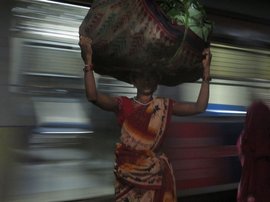 Collecting 6,000 leaves a day for a living