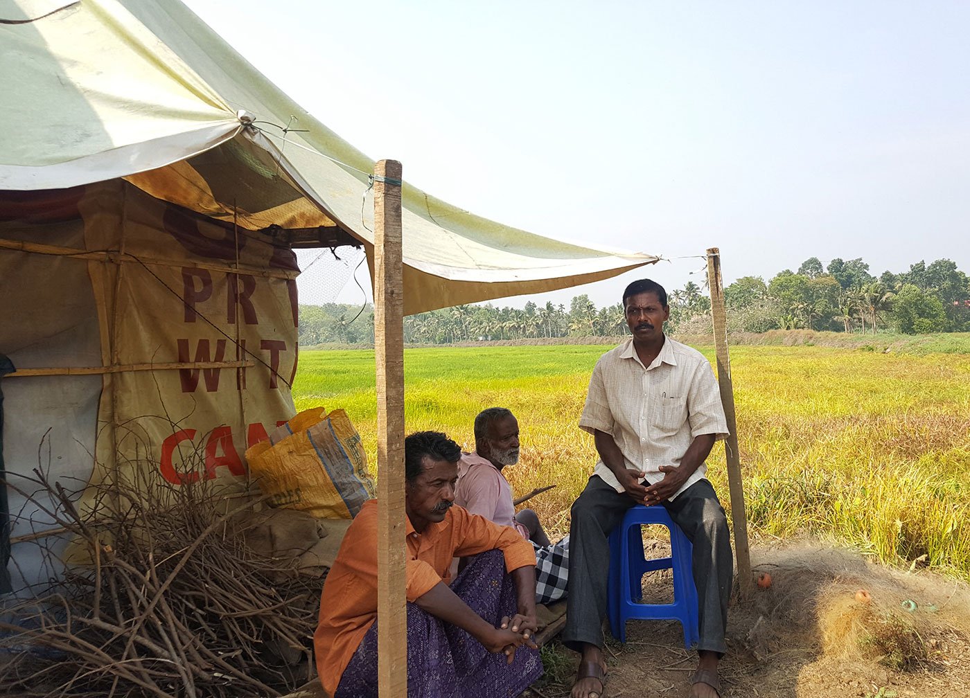 Babu Ulahannan and KV George, (orange and white shirt,respectively) are two of the five farmers who got together to cultivate paddy on 250 acres of fallow land.