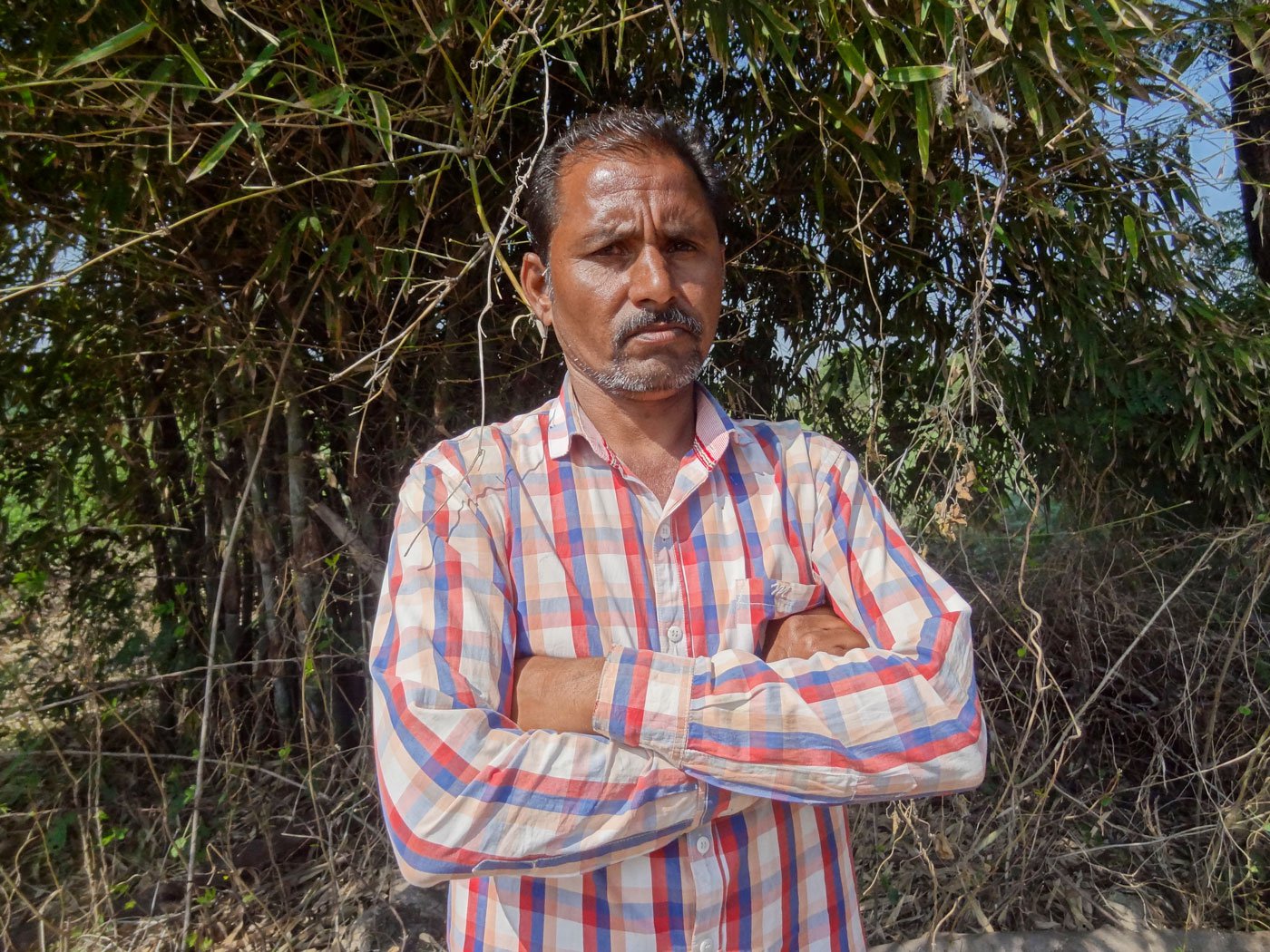 Namdeo Tarale of Dhamani village in Chandrapur district likens the wild animal menace to a new kind of drought, one that arrives on four legs and flattens his crop