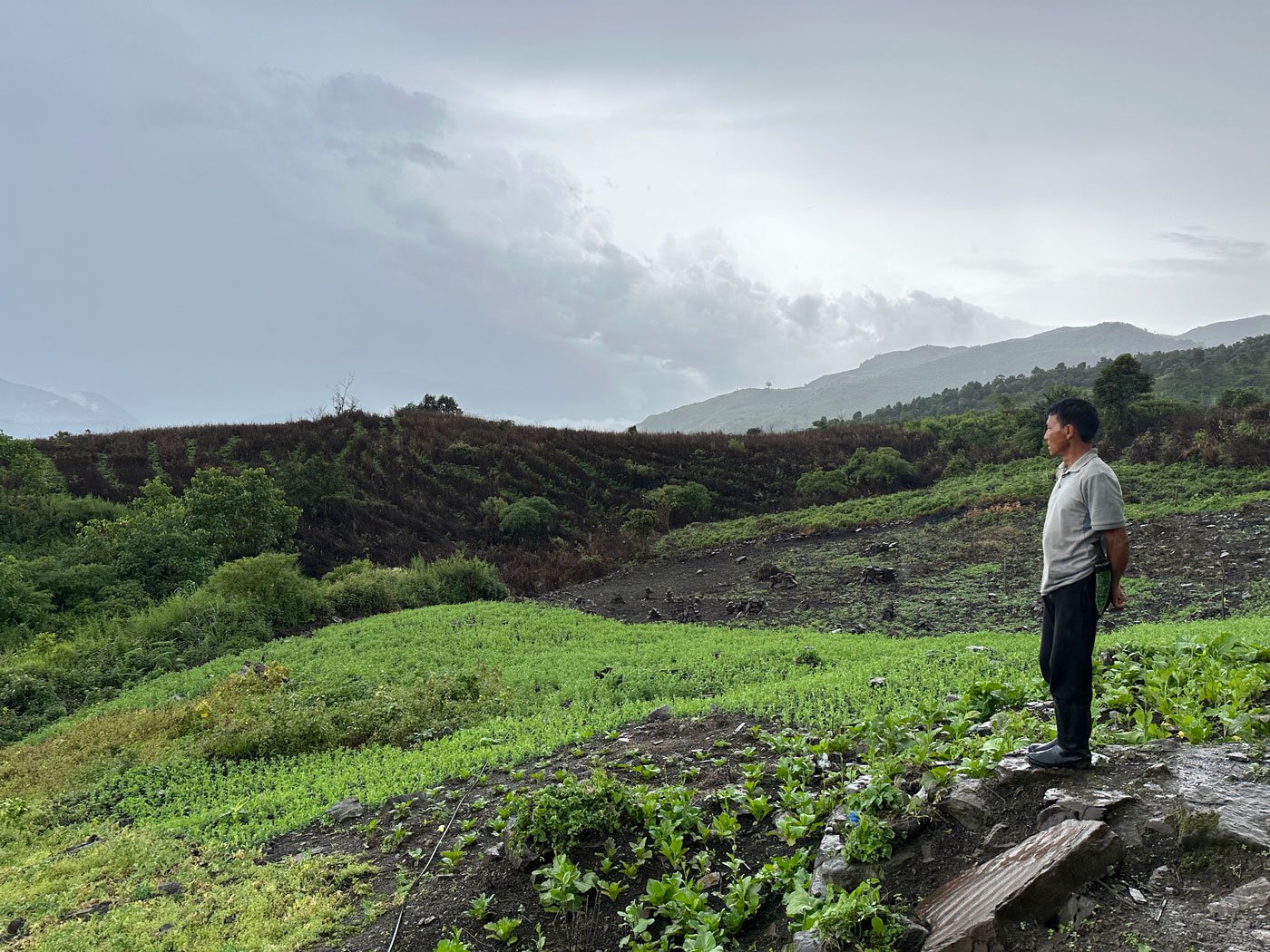Right: Farmers like Paolal say that Manipur's war on drugs campaign to stop poppy cultivation has been unsuccessful in the absence of consistent farming alternatives.