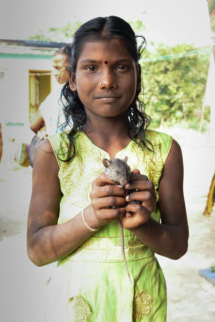 Baby rats are especially popular as pets among the Irula Adivasis in Bangalamedu hamlet – Dhaman, S. Amaladevi and Sakthivel (left to right) with their pets