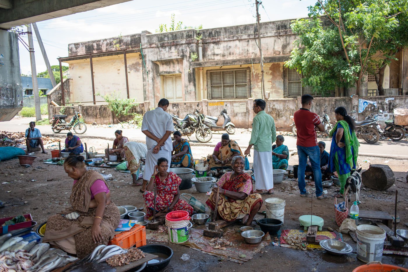At the Cuddalore Old Town harbour there are roughly 20 to 30 fish-cutters and vendors and they are all women