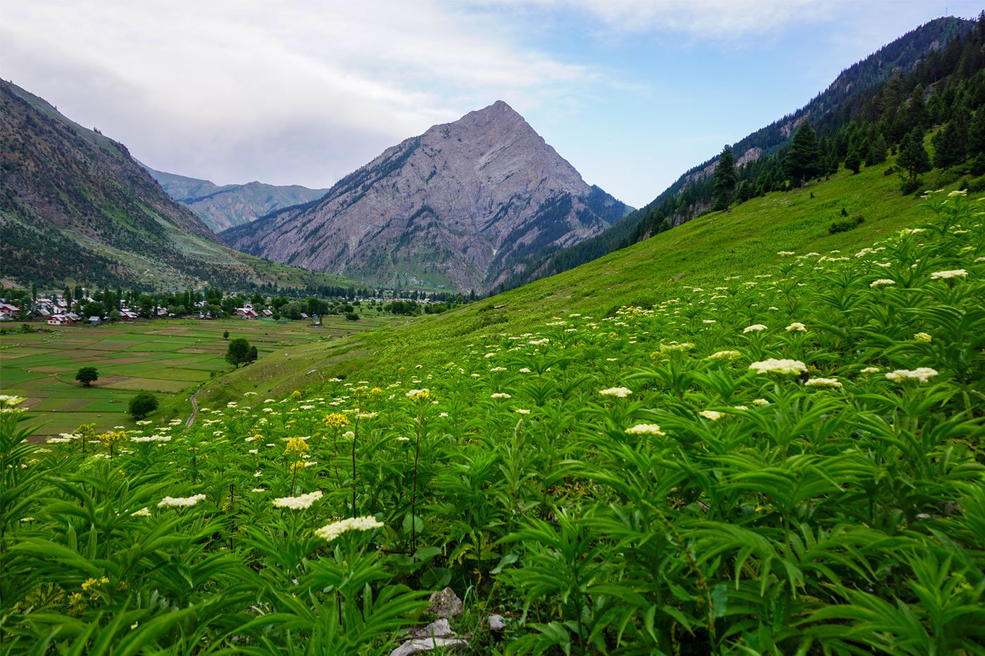Right: Dawar village is situated within view of the Habba Khatoon peak in the Gurez valley