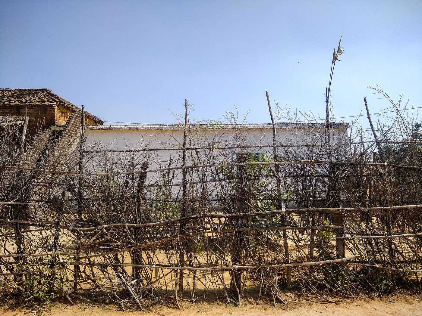 Shoba Rani Kuandhar’s house in Sarathpura Hamlet, Tara Village, Amanganj tehsil, Panna District