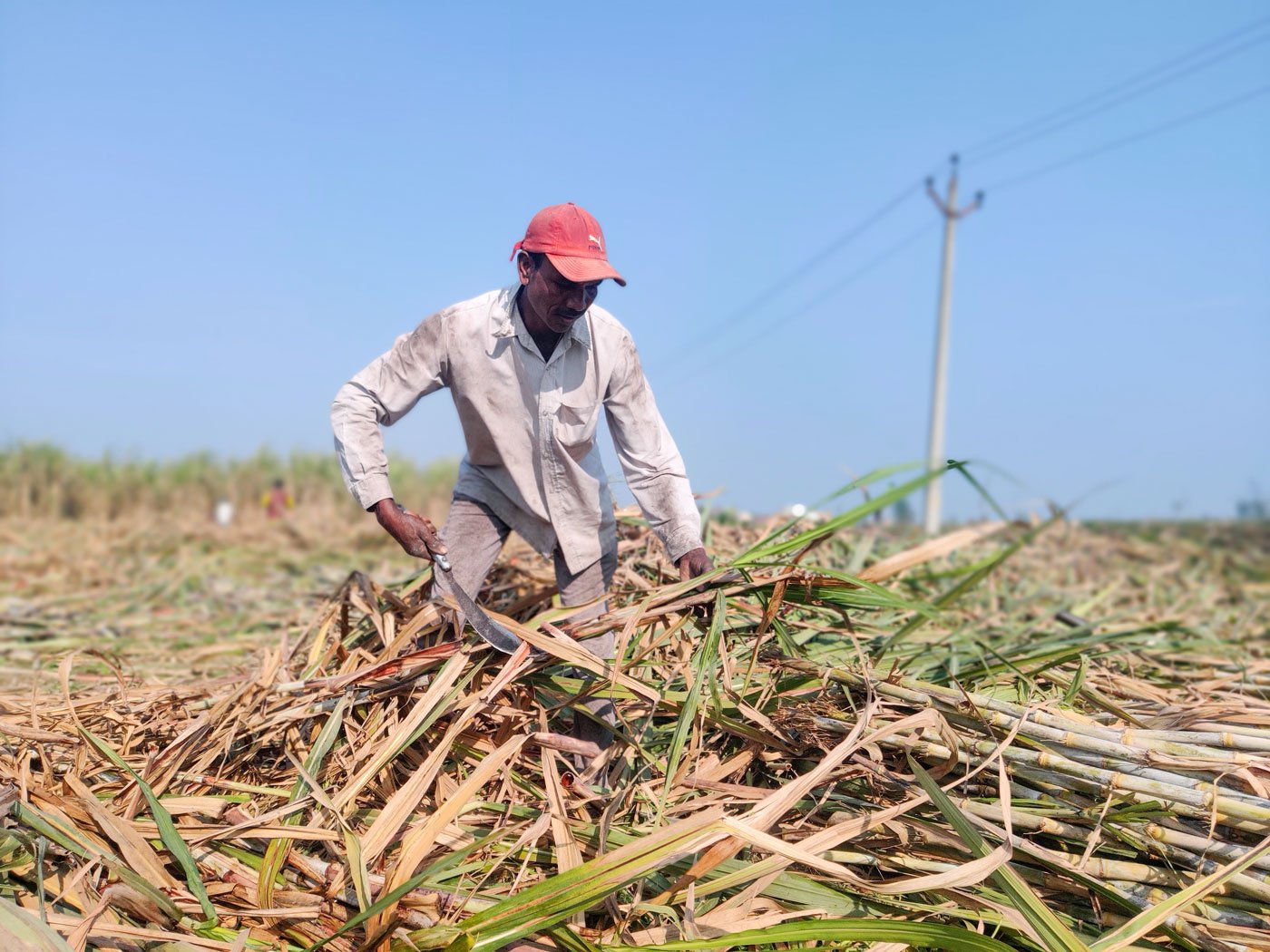 Ramesh Sharma makes more money as a farm labourer in Haryana than he does cultivating his land in Bihar's Shoirgaon village