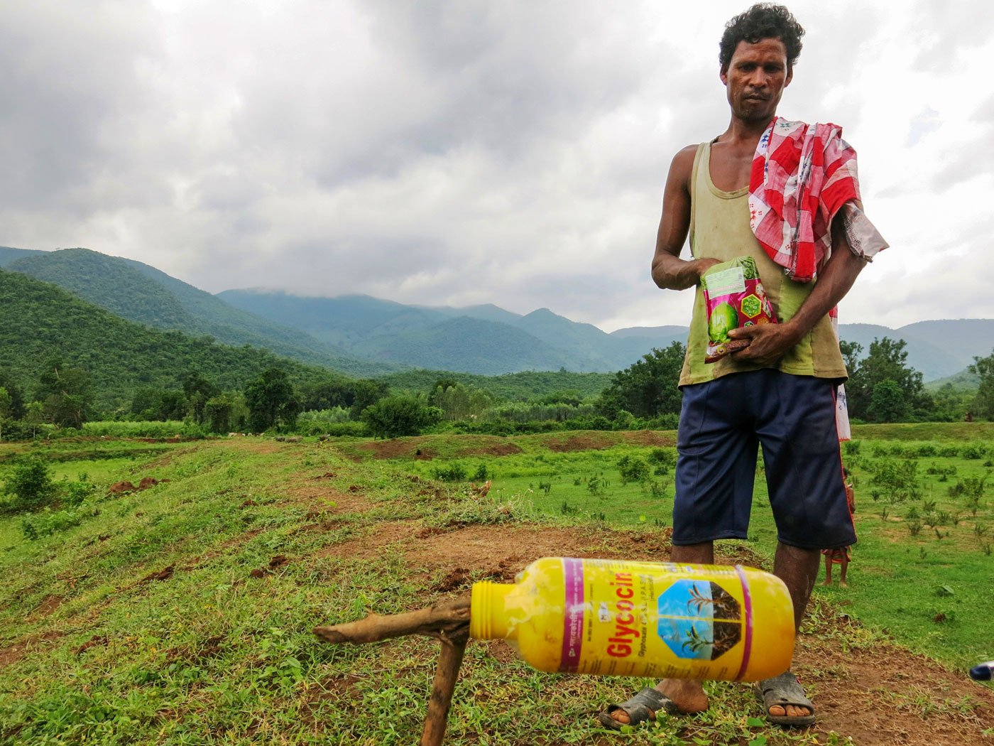 In Kaliponga village, farmer Ramdas sows BT and HT cotton, days after dousing their lands with glyphosate, a broad spectrum herbicide