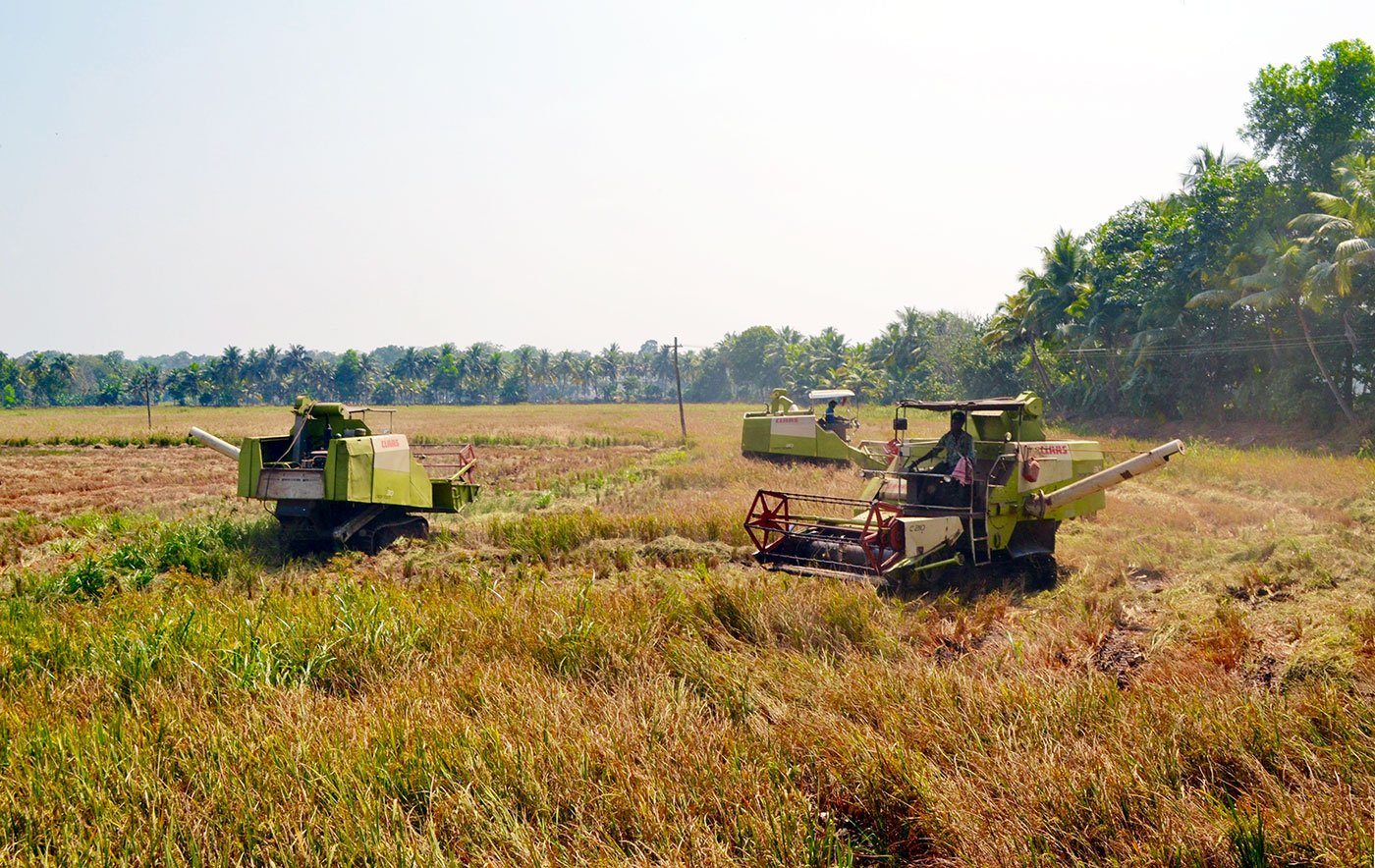 Large Hitachi tractors are used to harvest the fields. These tractors are used on levelled ground. However many parts of the field are uneven and marshy which is why and where MNREGA are commissioned to the harvesting work.