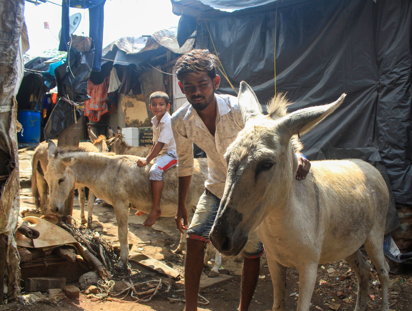 Left: Anand Jadhav and his little cousin Yuvraj Shinde, both used to the donkeys in their midst. Right: Sukhdev and Jayshri with their menagerie