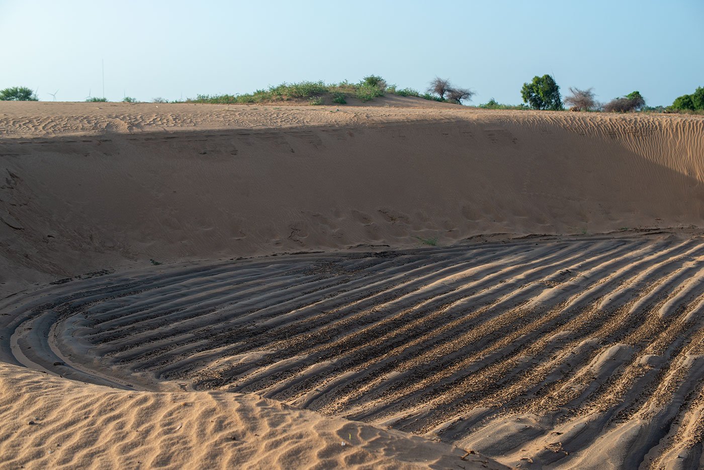 Honnureddy’s painstakingly laid out rows of plants were covered in sand in four days.
