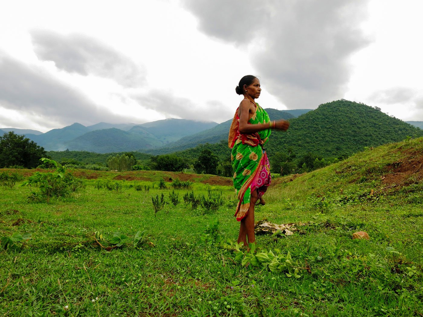 In Kaliponga village, Ramdas' wife Ratnamani sows BT and HT cotton, days after dousing their lands with glyphosate, a broad spectrum herbicide