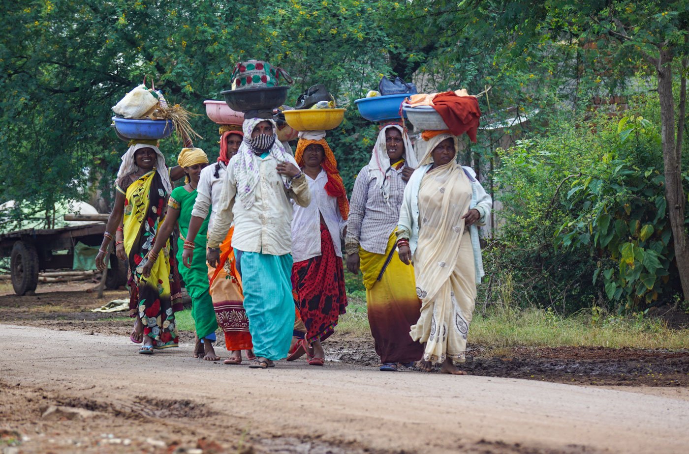Labourers from Baliyara village, not far from Dhamtari town, on their way to paddy fields to plant saplings