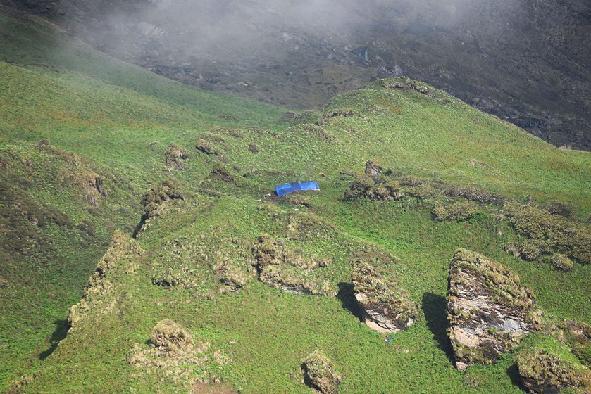The camps of keeda jadi pickers in alpine meadows of Satper in Pithoragarh