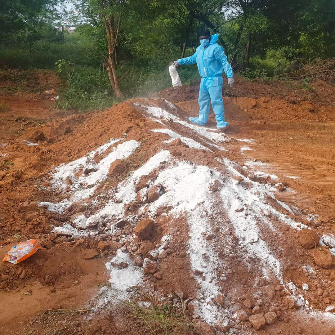 The volunteers lower a body into a pit eight feet deep, cover up the pit and pour a disinfectant powder across the grave