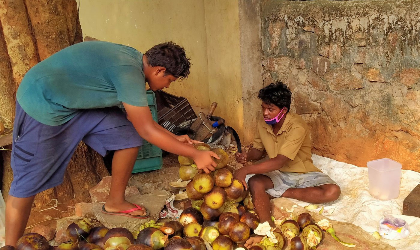 Eeswar Rao (left) had to climb palm trees again despite an injury, to survive the lockdown. He and his cousin R. Gowtham (right) bring the munjalu to the city