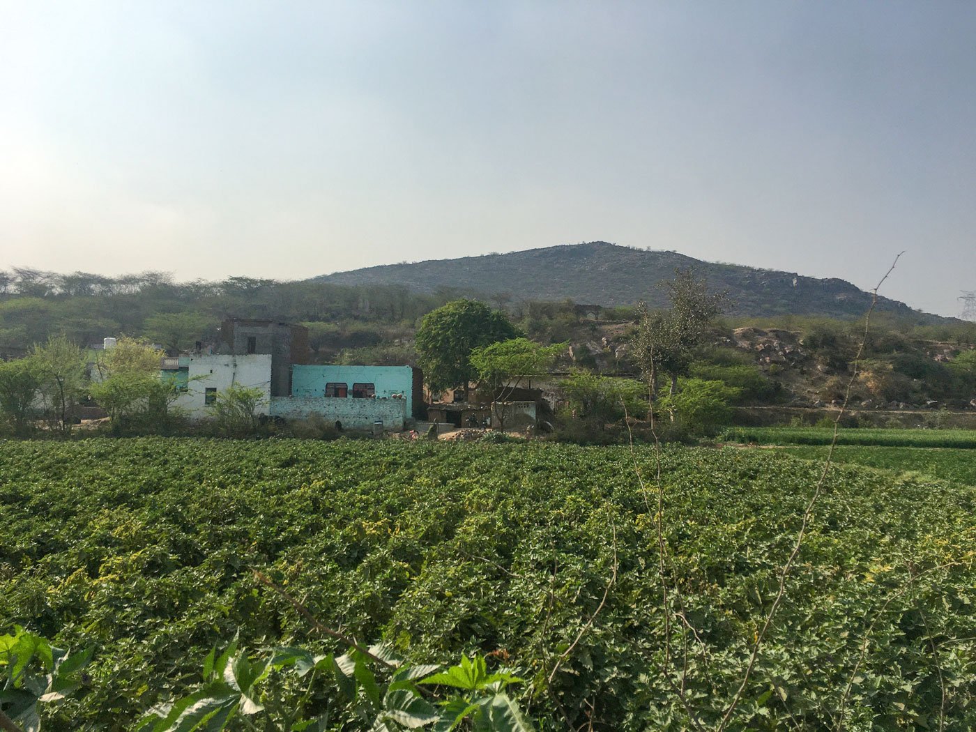 Biwan village (left) in Nuh district: The total fertility rate (TFR) in Nuh is a high 4.9. Most of the men in the village worked in the mines in the nearby Aravalli ranges (right)