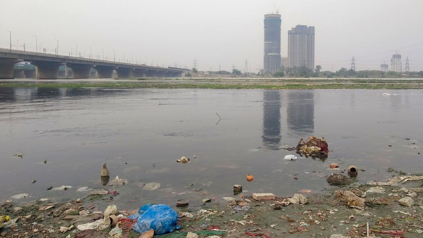Last year, thousands of fish were found dead at the Kalindi Kunj Ghat on the southern stretch of the Yamuna in Delhi