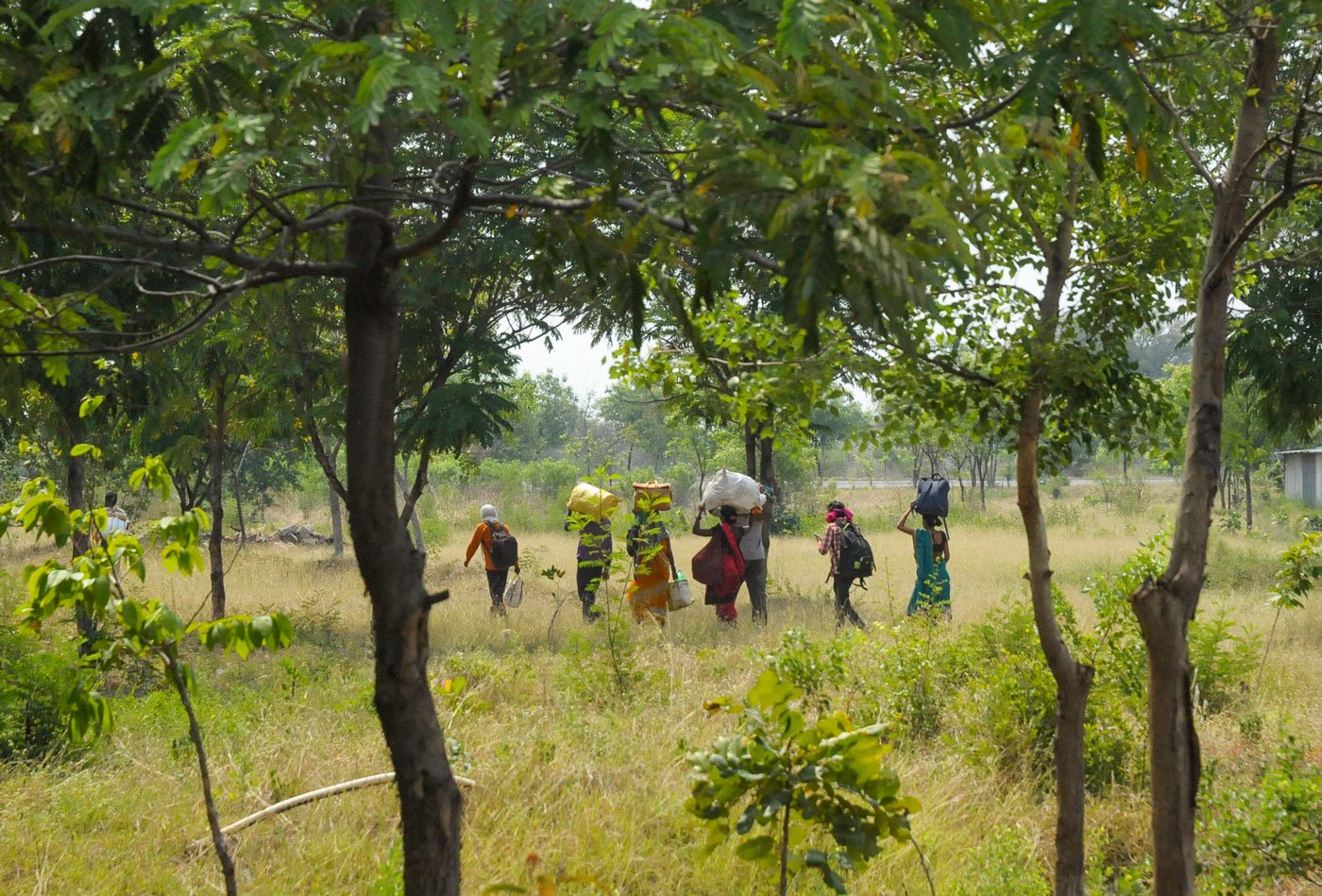 The migrants walked through fields, forest pathways and along railway tracks
