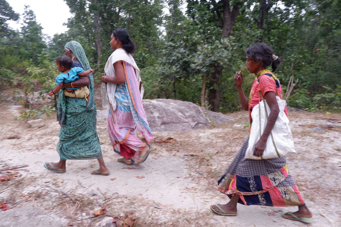 Right: Work stops in the evening when they spot the cattle heading home after grazing. On the third day, Geeta and Sakuni return to the forest to collect the sacks and make their way to Hehegara station from where they catch a train to Daltonganj