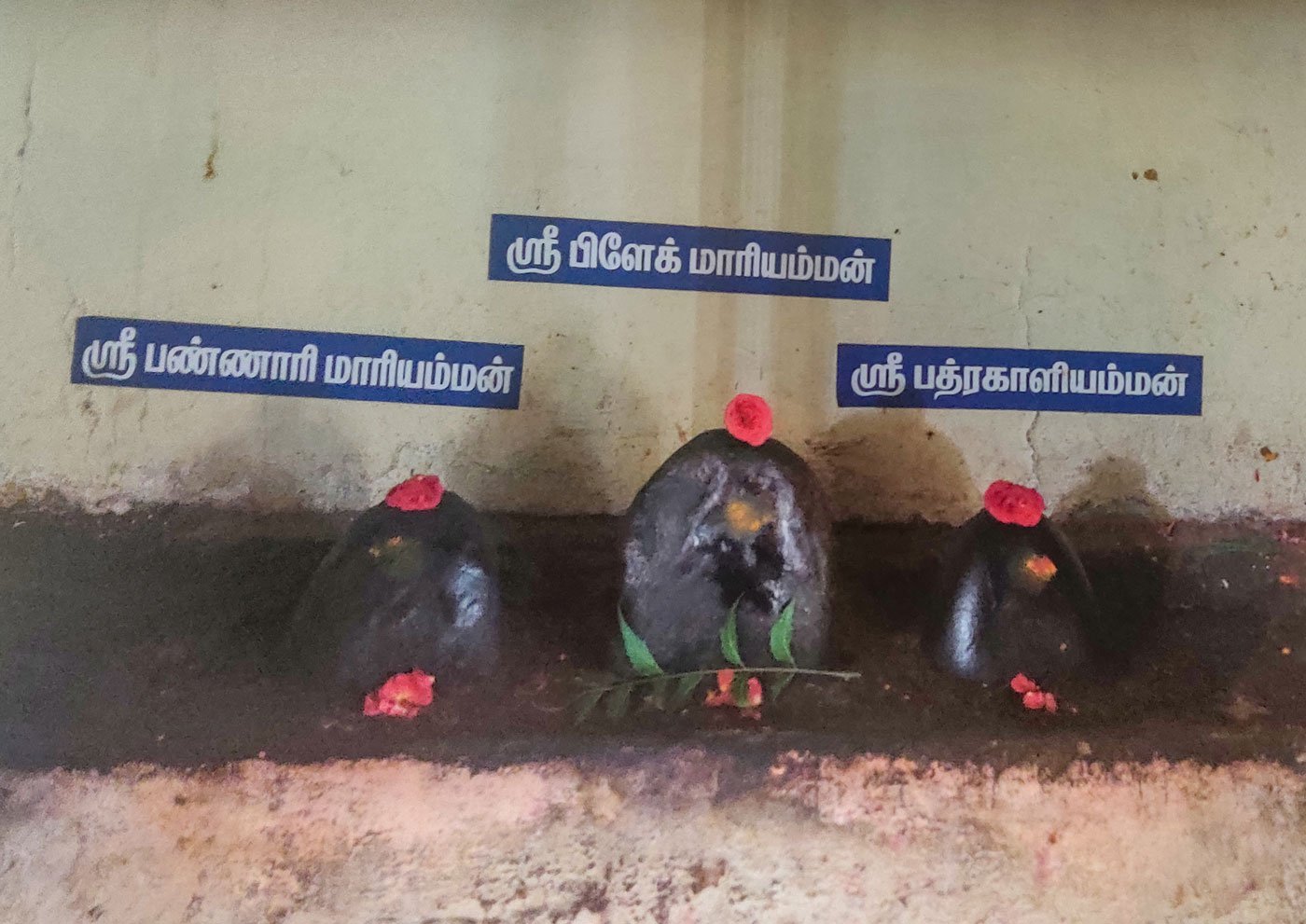 Stone figures representing three goddesses in the temple: (from the left) Panniyariamman, Plague Mariamman and Badrakaliamman