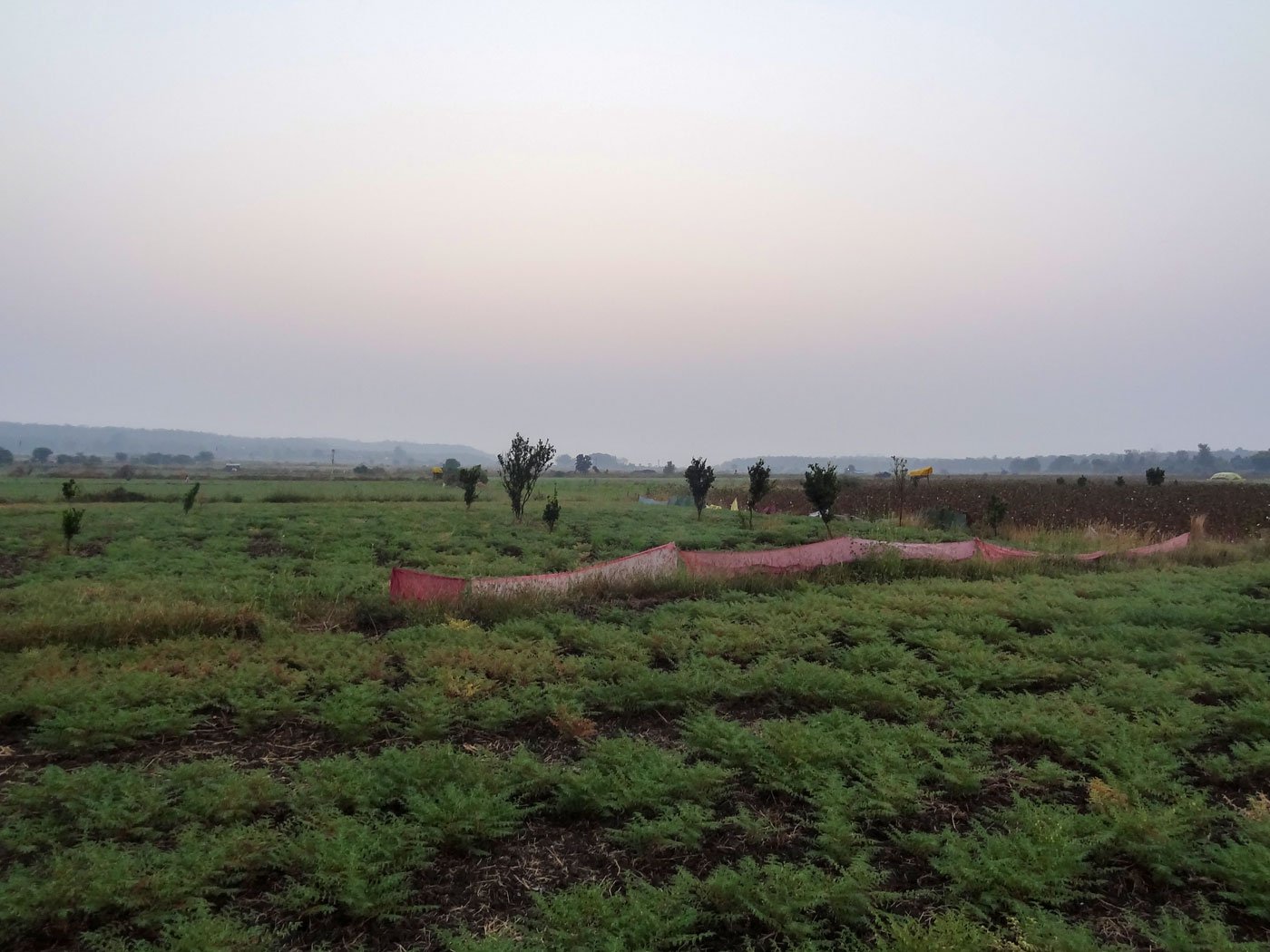 Ramchandra has built several machans (right) all over his farm. Machans are raised platforms made of wood with canopies of dry hay or a tarpaulin sheet