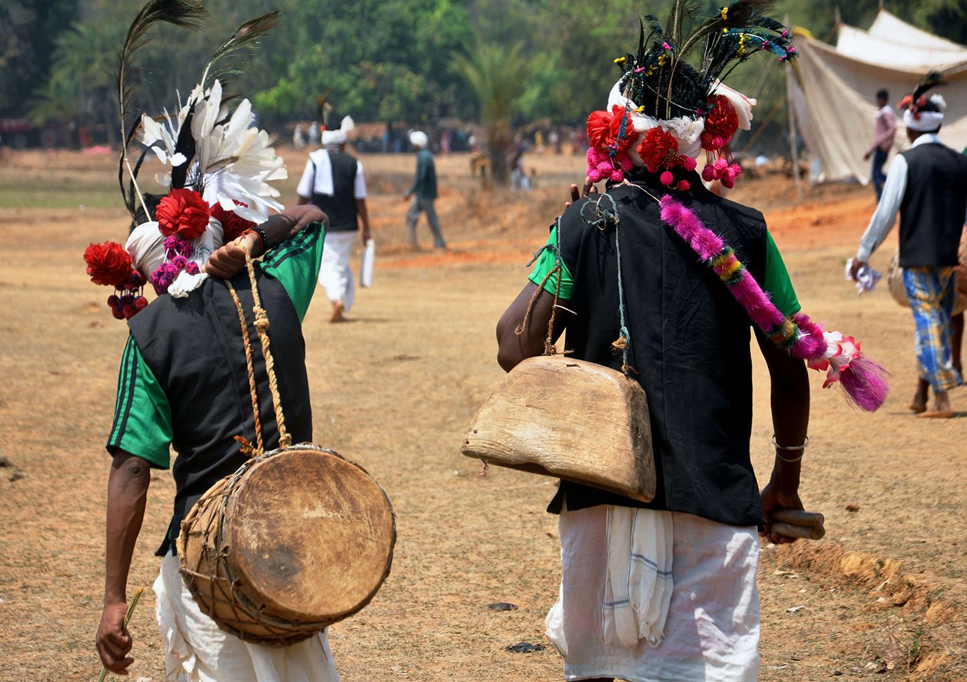 Adivasi dancers and musical troupes from different parts of (Uttar Bastar)