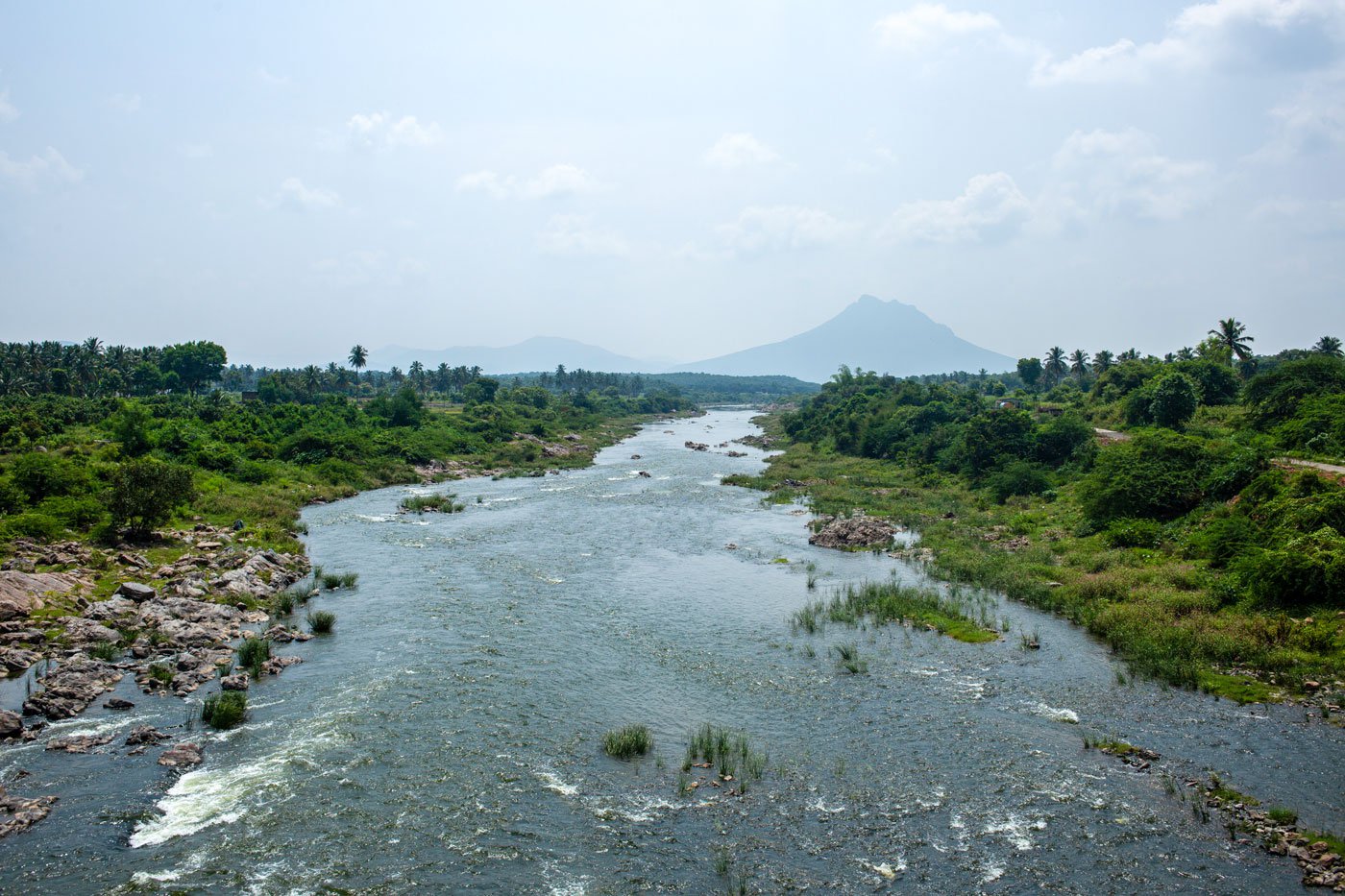 The Thenpannai river that flows between Dharmapuri and Thiruvannamalai districts of Tamil Nadu