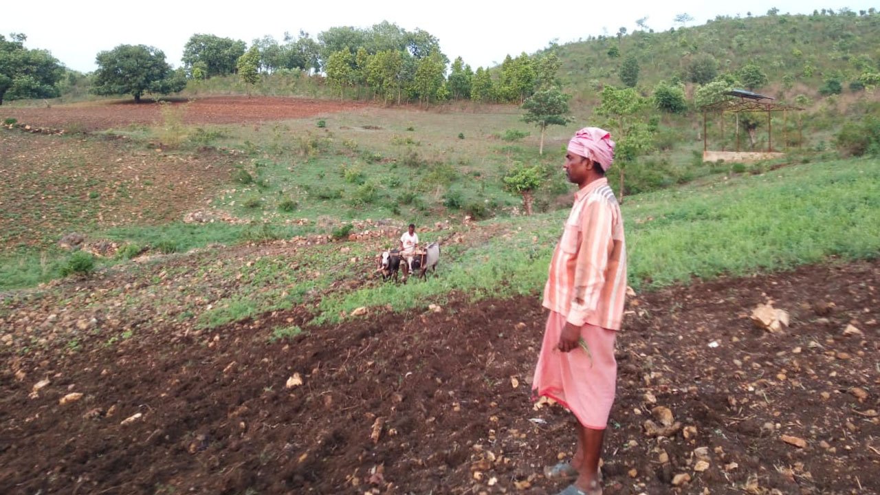 Dashrath's 2.5 acres of land yields just enough produce to feed his family