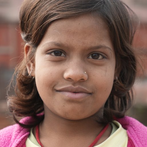 Laxmi Kumari is a Student (Class 4) from Ghoswari, Ghoswari, Patna, Bihar