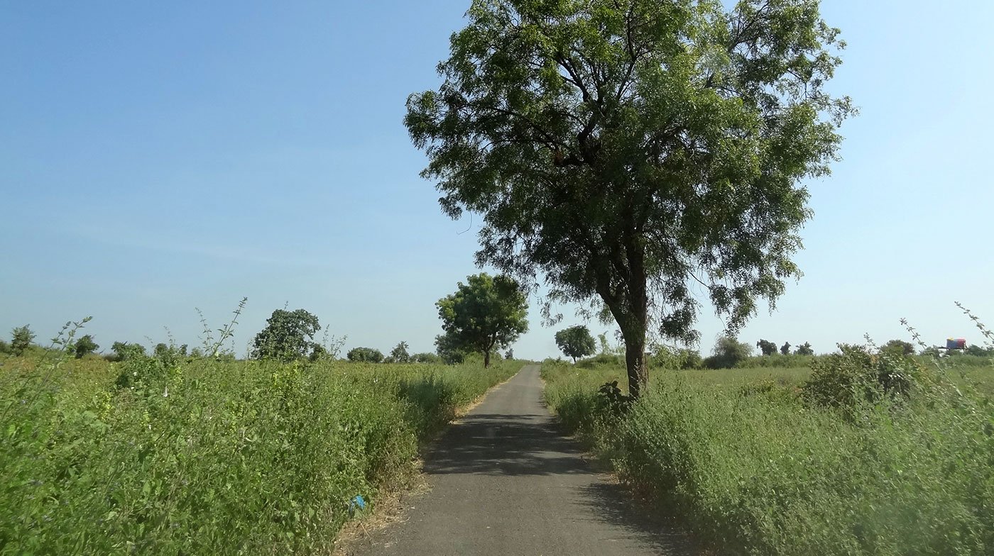 The road between Loni and Sarati where T1 was sighted many times by villagers.
