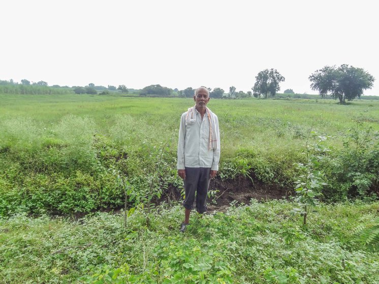 Govind Narayan Rajegore's soybean crop in Shelgaon suffered serious damage.