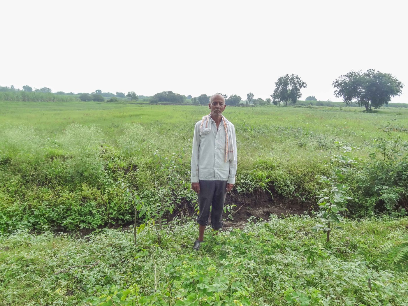 Govind Narayan Rajegore's soybean crop in Shelgaon suffered serious damage.