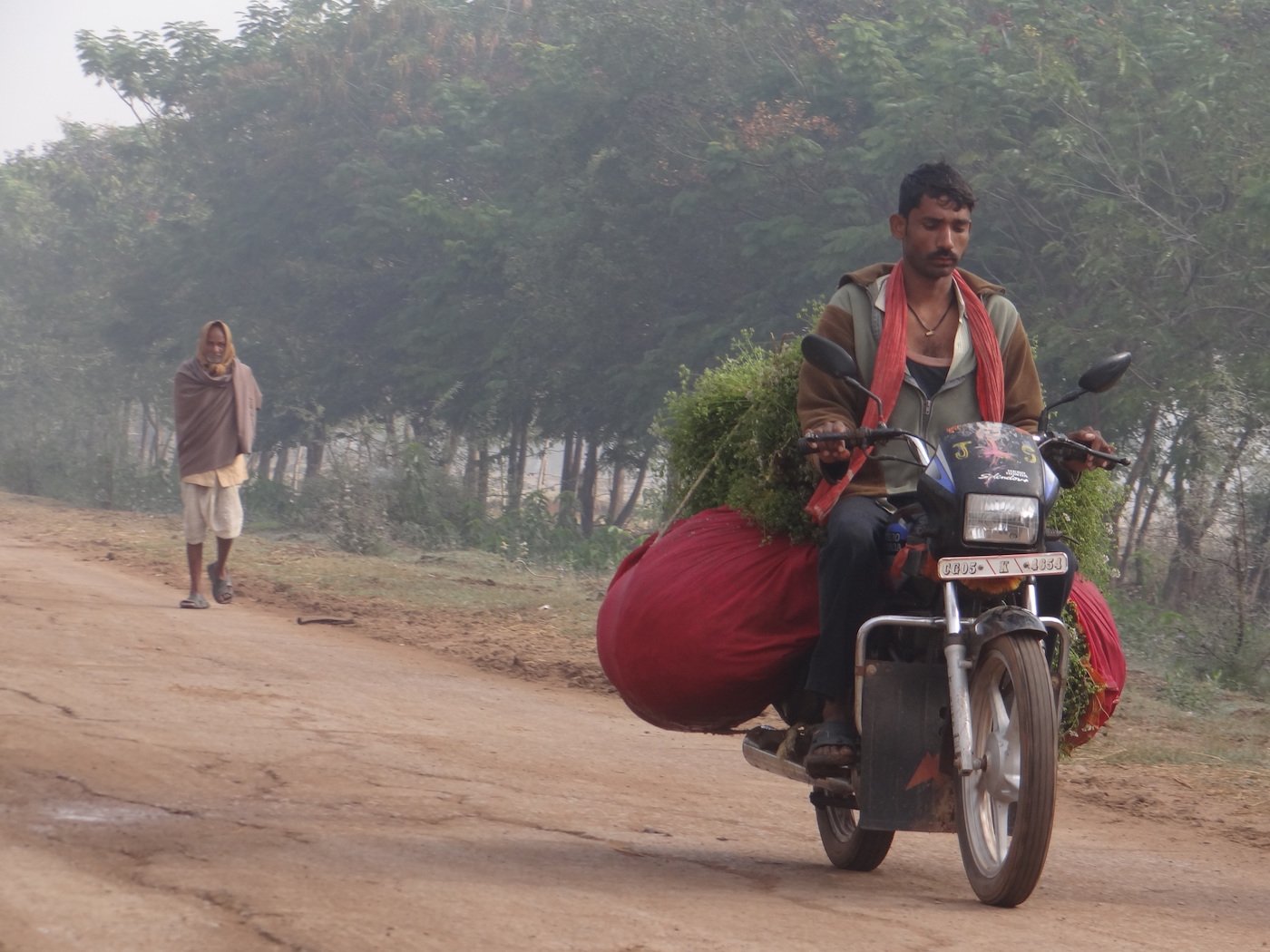 Bhagauli walks to sell the fodder in town