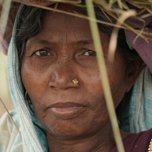 Saroj is a Homemaker, also works as a farm labourer from Kanchanpur, Daniawan, Patna, Bihar