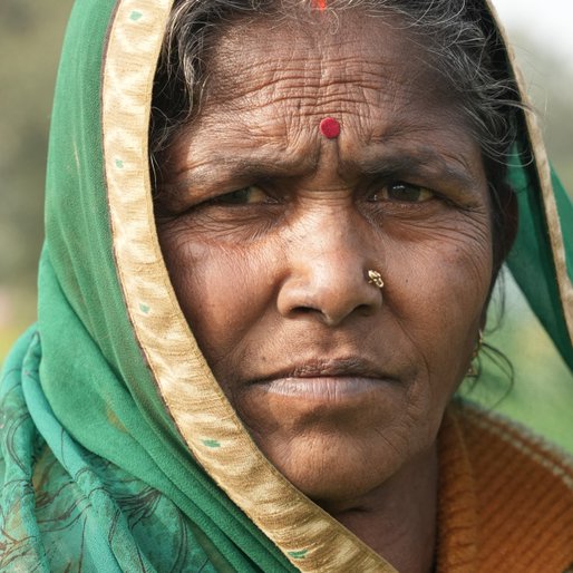 Pyaari Devi is a Tenant farmer (cultivates seasonal vegetables), homemaker and cattle-rearer from Hemzapur, Khusrupur, Patna, Bihar