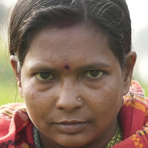 Ritu Devi is a Farmer (cultivates seasonal vegetables like cauliflower, carrot, beans and potato), homemaker from Hemzapur, Khusrupur, Patna, Bihar