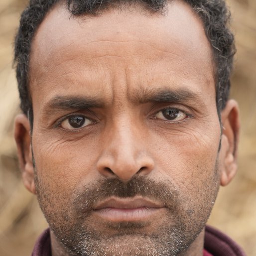 Satendra Yadav is a Cattle herder from Nagauli, Masaurhi, Patna, Bihar