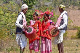 बैगा समाज के दसरानाच