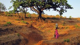 ଲୀଲାବତୀଙ୍କ ଅସରନ୍ତି କାମର ଧାରା