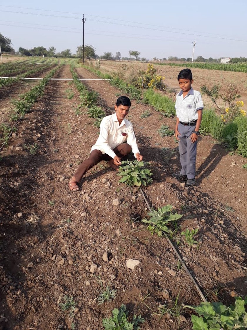 Father and son checking a plant
