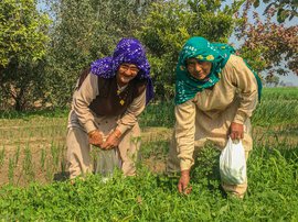 Petwar women: keeping the farm protests alive