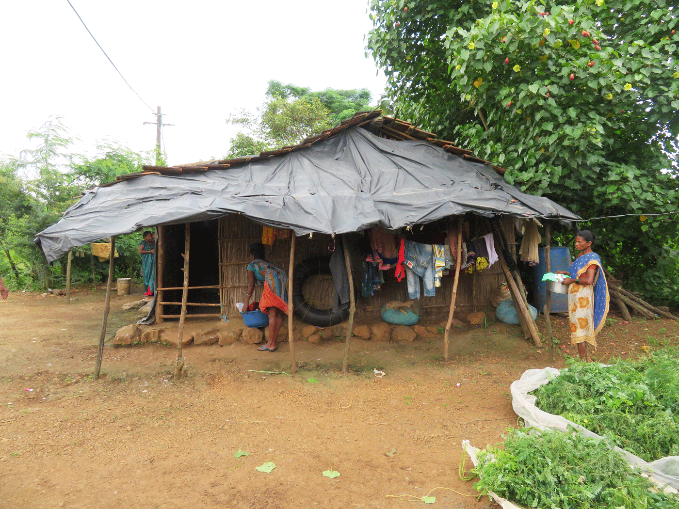 Hut