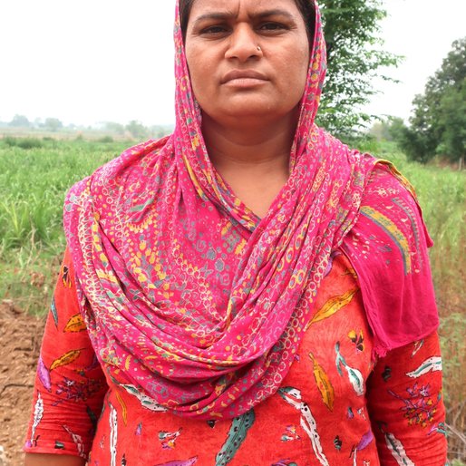 Sandeep Kaur is a MGNREGA worker from Andheri, Majri, SAS Nagar, Punjab