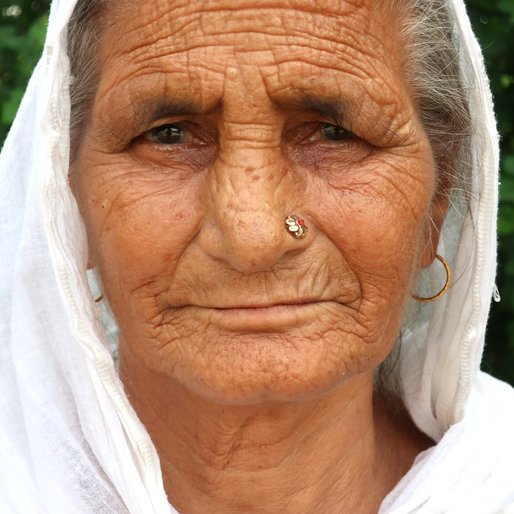 Hamir Kaur is a Homemaker and cattle-rearer from Ramgarh Sandhuan, Lehragaga, Sangrur, Punjab