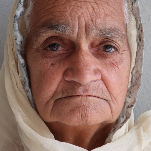 Kulwant Kaur is a Cattle-rearer and milk supplier from Kalabula, Sherpur, Sangrur, Punjab