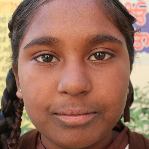 Tania is a Student (Class 9) from Rogla, Dirba, Sangrur, Punjab