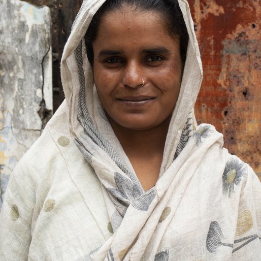 Nisba is a Homemaker from Baradunwa (Mustqil), Amariya, Pilibhit, Uttar Pradesh