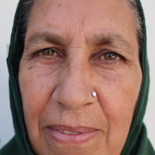 Manjeet Kaur is a Former Sarpanch, currently a homemaker and cattle-rearer from Kishangarh, Budhlada, Mansa, Punjab