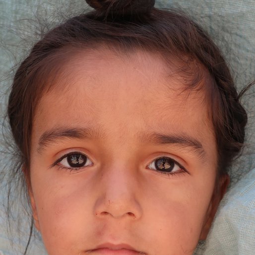 Jobanpreet Singh is a Student (Pre-nursery) from Fafre Bhaike, Mansa, Mansa, Punjab