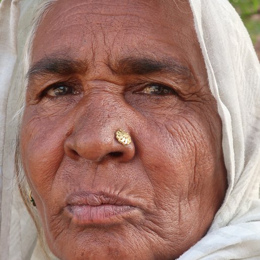 Pammi is a Agricultural labourer, also works as a daily wage labourer at shops from Chotian, Sardulgarh, Mansa, Punjab